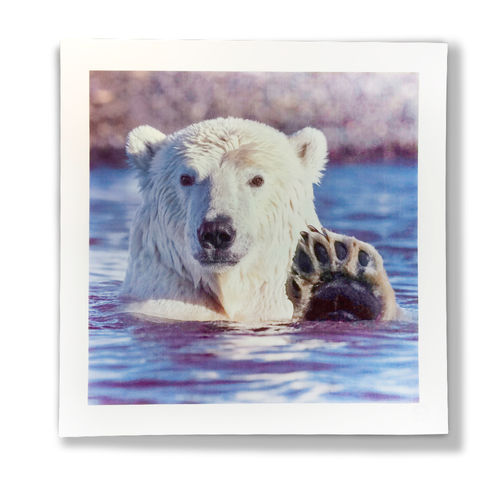 Tableau décoratif à motif animalier - NEXT TO ME - HAVILAND - contemporain