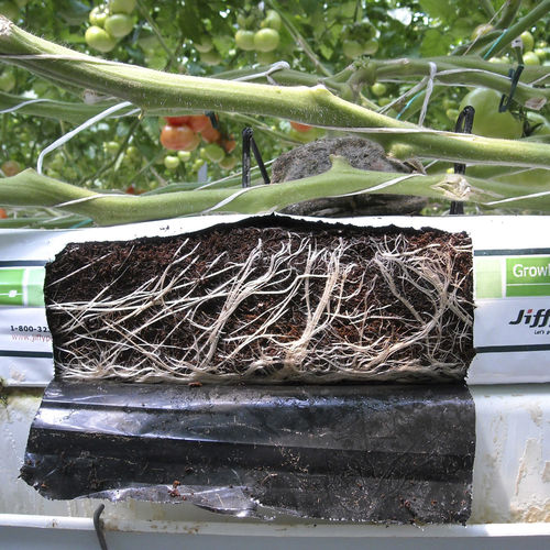 Substrat de culture tourbe de coco - GROWBAG - JIFFY - en sac / grossier / pour l'agriculture biologique