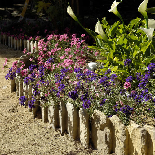 Bordurette de jardin - BRADSTONE - SAS PREFABRICADOS DE HORMIGON SA - en béton / d'extérieur / linéaire