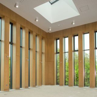 Panneau acoustique pour plafond - 16/3 - akustik plus Behringen GmbH & Co. KG - pour mur / pour cloison / en bois