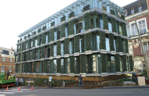 Mur végétal stabilisé - MOBICARE LIGHT SYSTEM - poliflor - naturel / pour façade