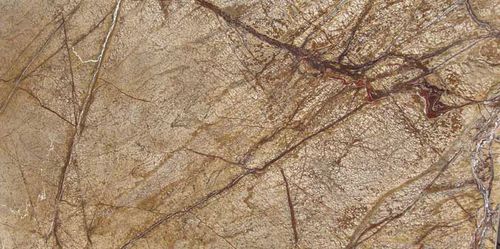 Carrelage en marbre - RAIN FOREST BROWN - classical natural Stone - poli / de salle de bain / de salon