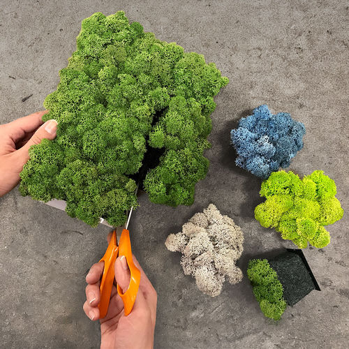 Tableau végétal en mousse boule - PIXEL - Nordgröna - naturel / d'intérieur / en panneau modulaire