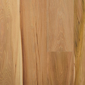 Parquet contrecollé - PREMIUM PLANK: ELM NATURAL - Trapa Boden - en orme / en huile naturelle / à coller