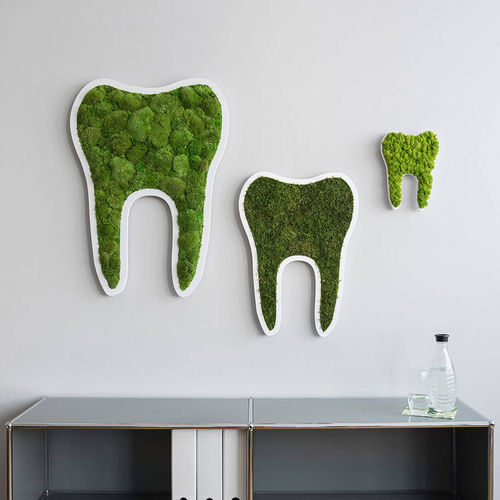 Tableau végétal en mousse boule - TOOTH - FlowerArt GmbH - naturel / d'intérieur / pictogramme
