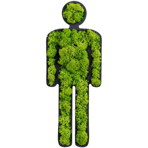 Tableau végétal en mousse boule - MAN - FlowerArt GmbH - naturel / d'intérieur / pictogramme
