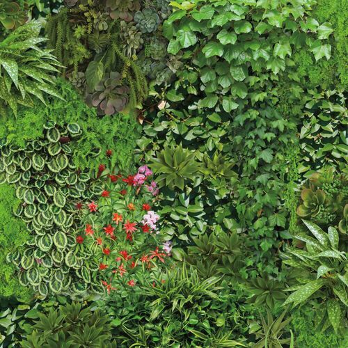 Papier peint contemporain - Living Wall - York wallcoverings - en vinyle / à motif floral / à effet dimensionnel