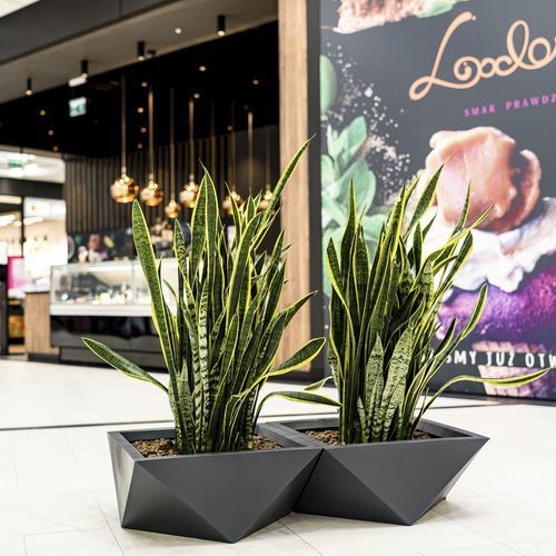 Jardinière en polyéthylène - Sagitta - Terra Group - contemporaine / pour hôtel / pour restaurant