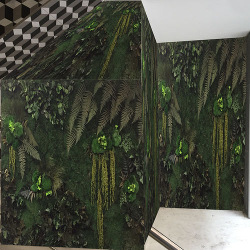 Mur végétal stabilisé - PYT Audio - en végétaux vivants / en panneau modulaire / sur mesure