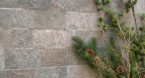 Carrelage en céramique - CLIFF - Yurtbay Seramik - à relief / d'extérieur / de sol