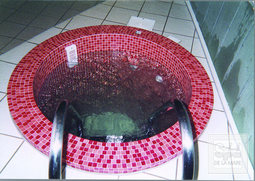 Spa encastrable - PLUNGE - Spa De La Mare - rond / 2 places / en mosaïque