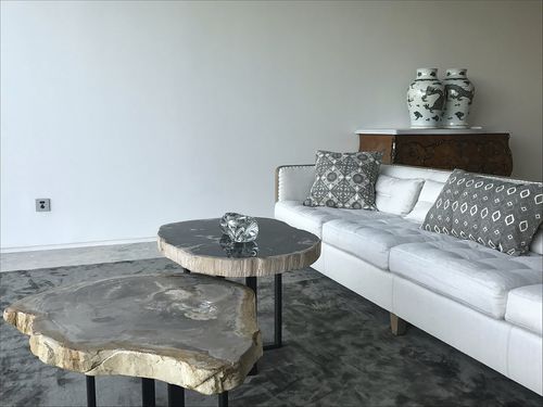Table basse contemporaine - 1007 - Unik - en bois fossilisé / ovale / résidentielle