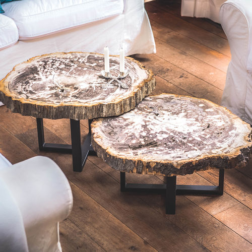 Table basse contemporaine - Unik - en bois fossilisé / avec piètement en acier / avec piètement en acier inoxydable