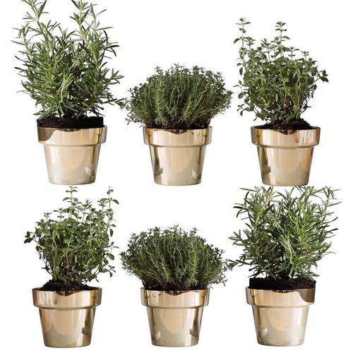 Pot de jardin en tôle - HERB - SKULTUNA - en laiton / rond / conique