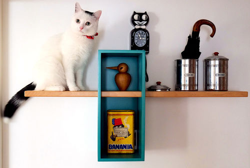 Étagère murale - MAX - COMPAGNIE - contemporaine / en MDF / en hêtre