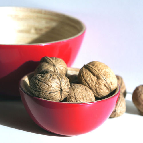 Bol en fibre de bambou - BO - Ekobo