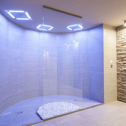 Douche multifonction - EMOTIONAL - Carmenta Wellness - en niche / pour centre de spa / multiple