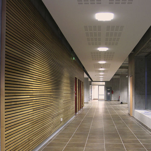 Parement bois - LAUDER LINEA 2.9.10 - Process Bois by Laudescher - en bois / intérieur / rainuré