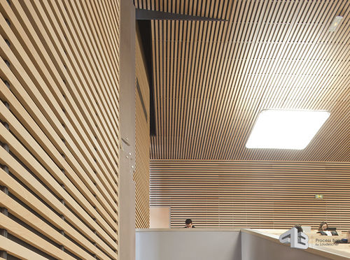Parement bois - LAUDER LINEA 4.2.4 - Process Bois by Laudescher - en bois / intérieur / d'absorption acoustique