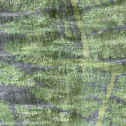 Papier peint contemporain - FERNS / TV-02 - Wallpepper - motif abstrait / imprimé