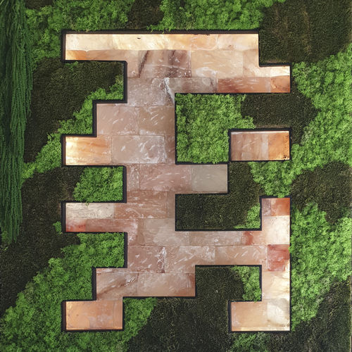 Mur de sel en kit - VEGETALISE - AWD - rétroéclairé / standard / suspendu