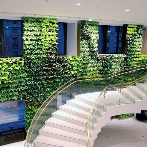 Mur végétal en végétaux vivants - NEXTGEN - BY NATURE - en panneau modulaire / naturel / d'intérieur
