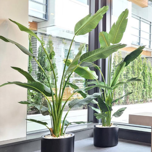 Plante ornementale synthétique - POTTED  - BY NATURE - palmiers / de grande taille / d'intérieur