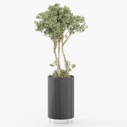 Pot de fleur en eucalyptus - GOLD - Laskasas - à poser / rond / résidentiel