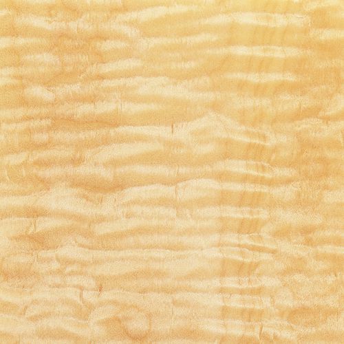 Placage en bois - AMERICAN MAPLE - SCHORN&GROH