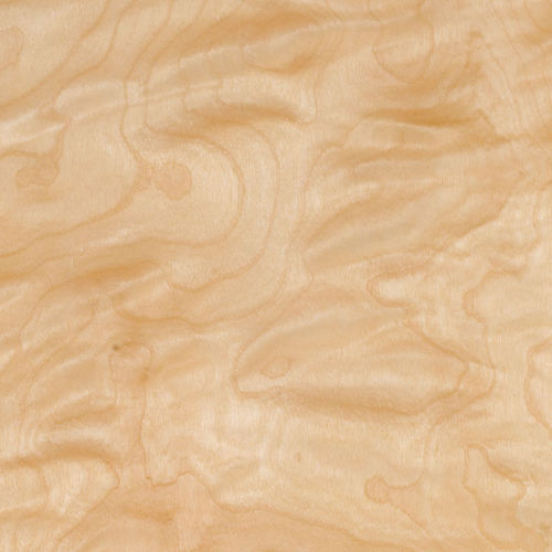 Placage en bois - BIRCH - SCHORN&GROH