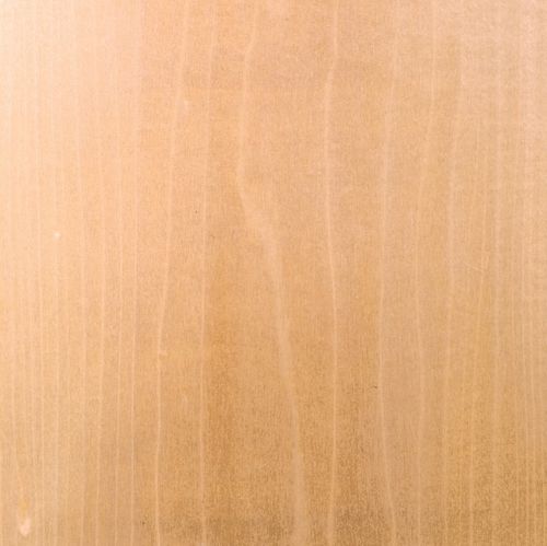 Placage en bois - POPLAR - SCHORN&GROH