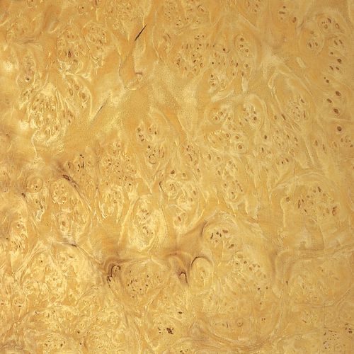 Placage en bois - MYRTLE BURL - SCHORN&GROH