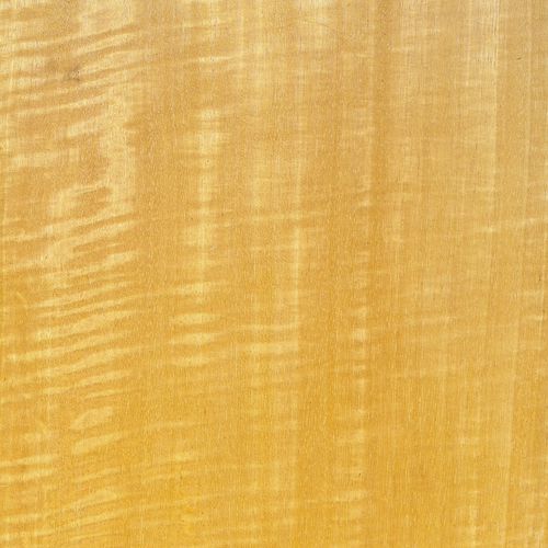 Placage en bois - MOVINGUI  - SCHORN&GROH