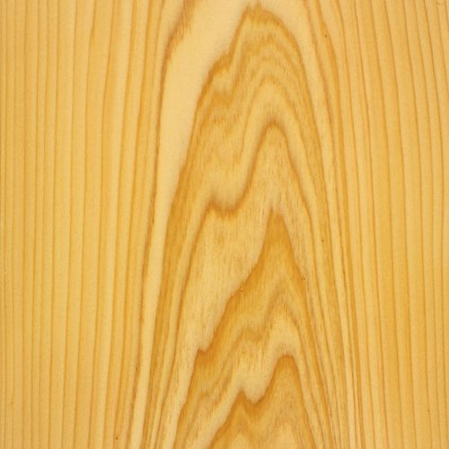Placage en bois - CYPRESS  - SCHORN&GROH