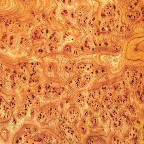 Placage en bois - ELM - SCHORN&GROH