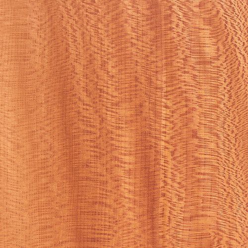 Placage en bois - EUROPEAN LACEWOOD - SCHORN&GROH