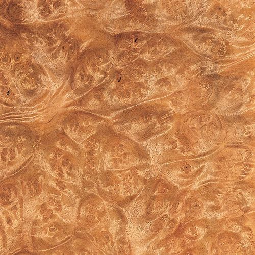 Placage en bois - LAUREL BURL - SCHORN&GROH