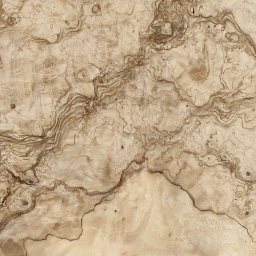 Placage en bois - OLIVE ASH BURL - SCHORN&GROH - écolabel FSC
