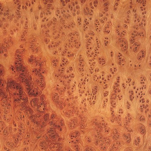 Placage en bois - VAVONE - SCHORN&GROH