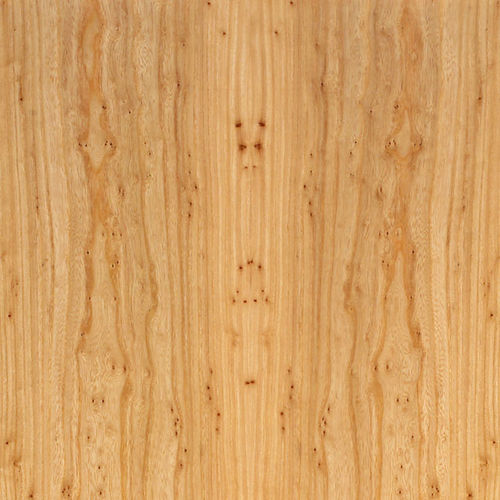 Placage en bois - PREMIUM : SOFT PEPPER - SCHORN&GROH
