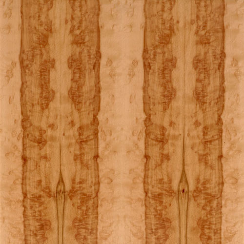 Placage en bois - SELECT : HEARTED BEECH BURL - SCHORN&GROH