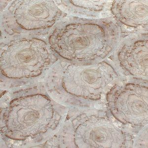 Placage en bois - BUTT CUT - SCHORN&GROH