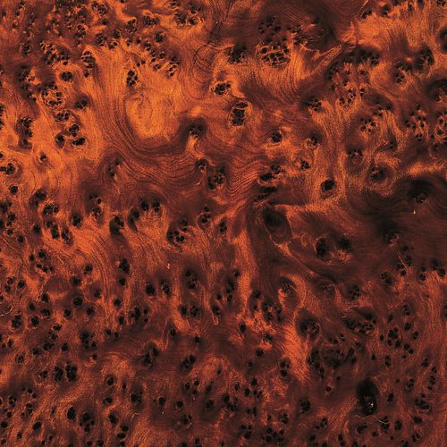 Placage en bois - THUYA BURL - SCHORN&GROH