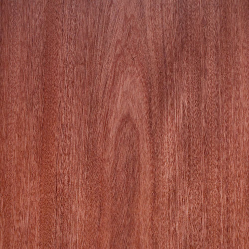 Placage en bois - SAPELE - SCHORN&GROH - écolabel FSC