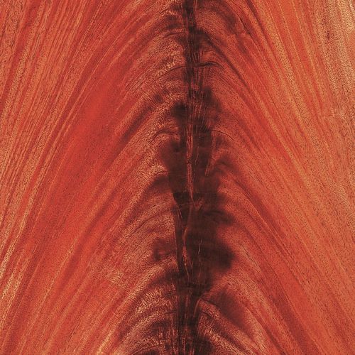 Placage en bois - AFRICAN MAHOGANY - SCHORN&GROH