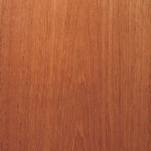 Placage en bois - CEDAR LEBANON - SCHORN&GROH
