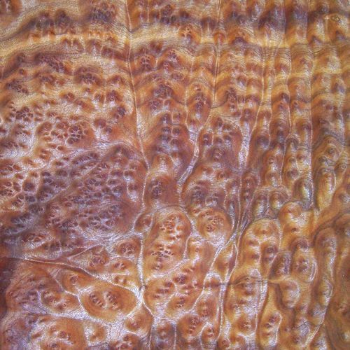 Placage en bois - CAMPHOR BURL - SCHORN&GROH