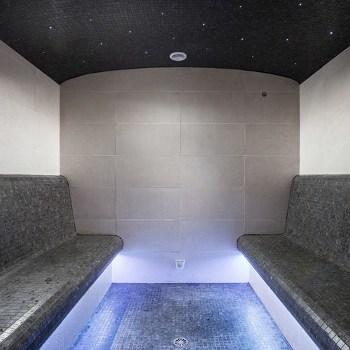 Bain de vapeur avec douche intégrée - CHALEUR - Alpha Wellness Sensations
