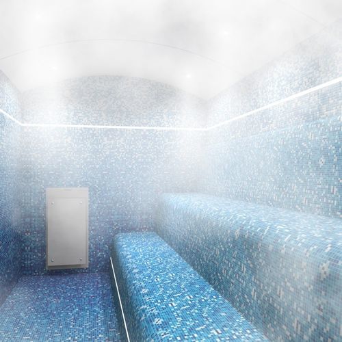 Générateur de vapeur pour hammam - ULTRASTEAM® - Cleopatra World of Wellness