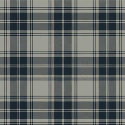 Moquette tissée - DOUGLAS GREY TARTAN  - STEVENS AND GRAHAM - en laine / en nylon / pour le tertiaire